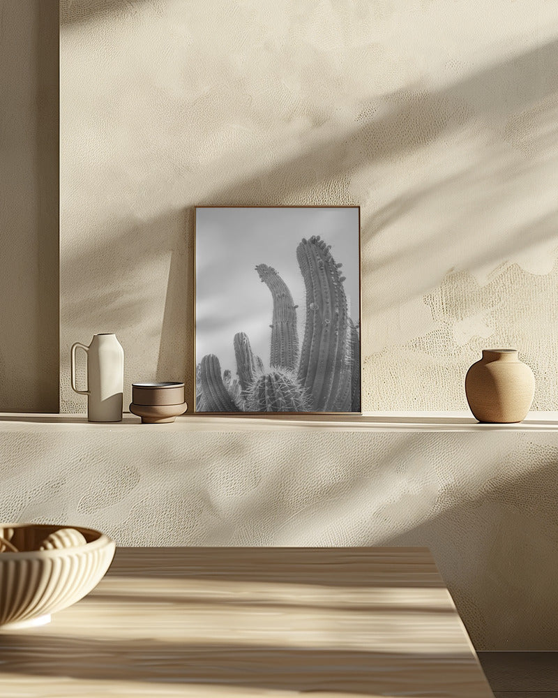 Cactus Poster